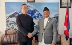 陈松大使到任拜会尼泊尔联邦院主席蒂米尔西纳