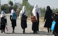 Everything has changed': Afghan women's hidden lives under the Taliban