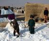 चिसोबाट अफगानिस्तानमा  १०४ जनाको मृत्यु