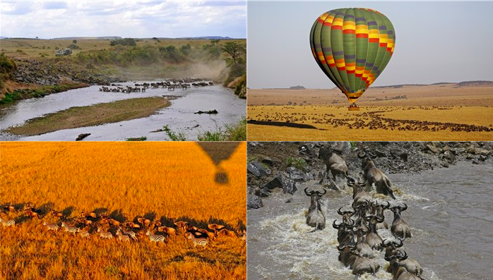 非洲观察丨中国游客重返肯尼亚 “动物王国”重振旅游经济