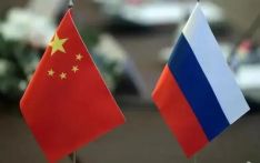 俄经济专家：中国对稳定全球经济和国际关系发挥重要作用