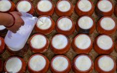 बिचौलियासँगको सेटिङमा सरकारले बढायो दूधको मूल्य