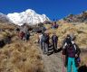 Nepal ends solo trekking. Everest region exception  