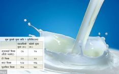 दूधमा किसानको मूल्य ९ रुपैयाँ बढ्दा उपभोक्तालाई १६ रुपैयाँ भार