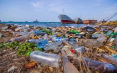 海洋塑料污染飙升至“前所未有”水平