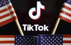 美年轻用户对TikTok禁令不屑一顾