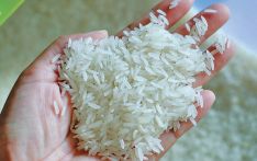 Nepalis forced to pay more for rice, no one knows why