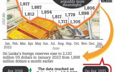 SL Forex reserves on rise