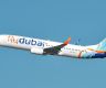 Flydubai 飞机降落时爆胎 马尔代夫机场暂时关闭