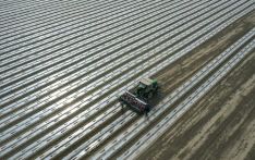Spring sowing of cotton starts in Xinjiang