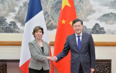 Chinese FM meets French counterpart