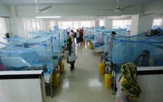 Bangladesh reports 12 more dengue cases