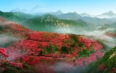 在武汉木兰云雾山共赴一场春天的花事