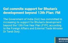 GoI commits support for Bhutan’s development beyond 13th Plan: FM