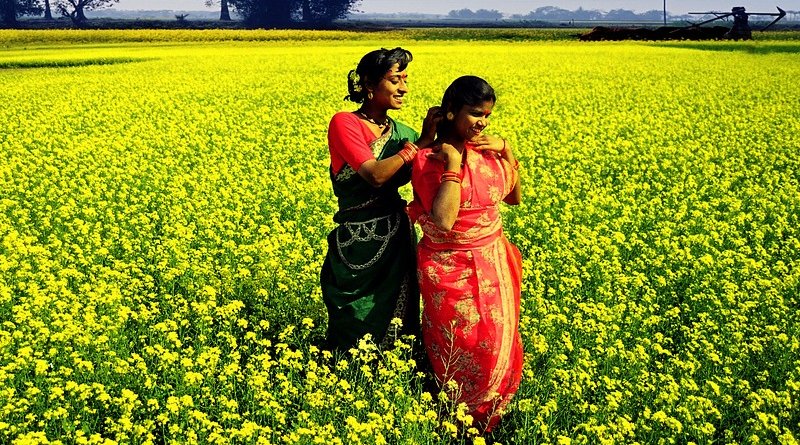 孟加拉国妇女妇女村庄田野农场