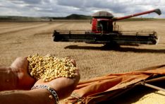 外媒：中国努力减少对进口大豆依赖