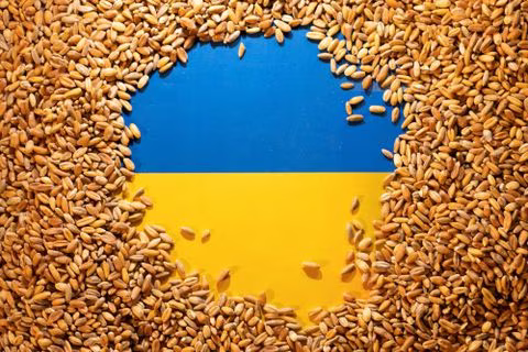 又一个！英媒：波兰、匈牙利后，斯洛伐克将暂停进口乌克兰谷物等食品
