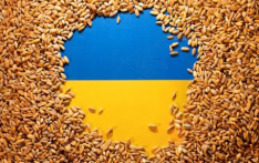 外媒：继波兰匈牙利后，斯洛伐克将暂停从乌进口谷物等农产品