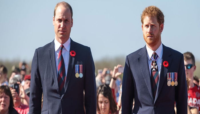 Prince Harry went paranoid after papers leaked deeply private chat with William