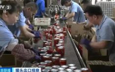中国罐头“真香”：海外多国热销，出口量保持增长