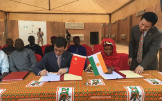 中国援尼日尔紧急粮食援助项目运抵交付