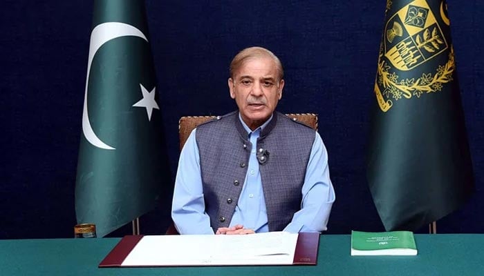 Prime Minister Shehbaz Sharif addresses the nation in this undated image. — APP/File