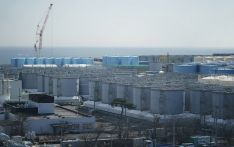 日本政府应停止强推核污染水排海计划