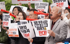 South Koreans protest Japanese PM's visit to Seoul