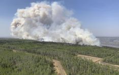 美媒：加拿大艾伯塔省多地火灾频发 2.4万人被迫撤离