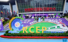 Over 10 bln USD of investment signed at central China RCEP expo