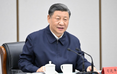 Xi inspects Xiong'an New Area, urges new progress for 