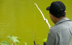 Rampant increase in illegal fishing in Jigmechhu