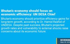 Bhutan’s economy should focus on economic efficiency: UN DESA Chief
