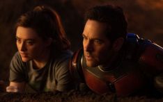 'Ant-Man 3' scribe claims innocence amid script leak