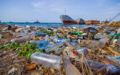 世贸组织会议推动合作应对塑料污染