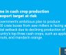 Decline in cash crop production puts export target at risk