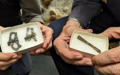 अष्ट्रेलियामा दश करोड सत्तरी लाख वर्ष पुराना हड्डी भेटिएको दावी