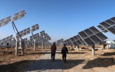 国际能源署：中国是可再生能源创纪录增长主力