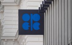 OPEC+ adjusts output targets for 2024