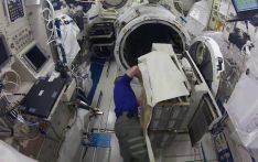 中国首次在空间站开展舱外辐射生物学暴露实验