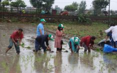 20th National Paddy Day slogans, ''Climate Adapted Farmer Friendly Technology, Increase in Productivity''