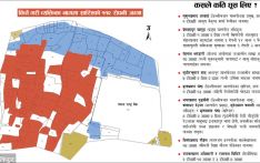 ललिता निवास भ्रष्टाचार : घूसमा मात्र २२ रोपनी