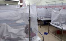 Dengue cases on the rise in Rajshahi