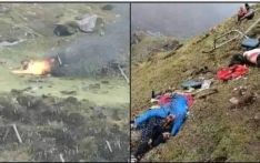 最新消息：尼泊尔马南航空坠毁直升机所有尸体已找到