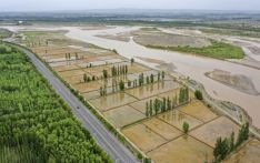 让每一滴水迸发更大潜能——用水权改革助推宁夏黄河流域高质量发展