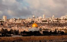 巴勒斯坦努力恢复经济