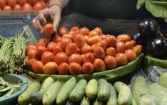 印度西红柿价格疯涨引发命案：一邦7天内2名守庄稼农民被杀