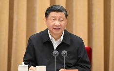 Xi stresses building Beautiful China, advancing modernization featuring human-nature harmony