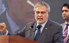 Govt to give maximum support to PIA: Dar