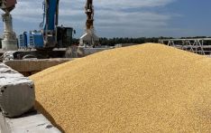 Ukraine: New export routes needed for grain